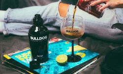 Bulldog Gin Fiyatı: 2026 Güncel Liste ve Tüm Çeşitler