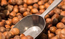 4 Mart 2026 Güncel Fındık Fiyatları Listesi: İl ve İlçe Bazlı Tam Liste