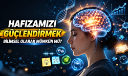 Hafızamızı Güçlendirmek Bilimsel Olarak Mümkün Mü?