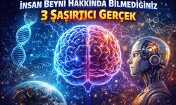 İnsan Beyni Hakkında Bilmediğiniz 3 Şaşırtıcı Gerçek