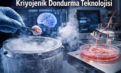 Donmuş Beyin Dokusu Yeniden Canlandırıldı