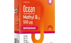 B12 Takviyesi Nedir? Günlük Vitamin İhtiyacına Destek Hakkında Bilmeniz Gerekenler