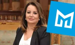 Mine Tozlu Biçer Kimdir? Kaç Yaşında, Nereli? Neden Tutuklandı?