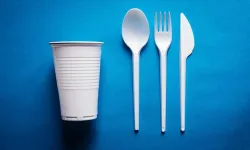 Tek Kullanımlık Plastiklere Büyük Yasak: Plastik Çatal, Bıçak, Tabak Gibi Ürünler Artık Satılmayacak!