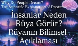 İnsanlar Neden Rüya Görür? Rüyanın Bilimsel Açıklaması