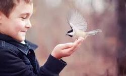 Kendine Şefkat Geliştirmenin Psikolojik Faydaları