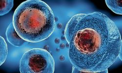 Yeniden Programlanmış Hücreler Klinik Aşamada