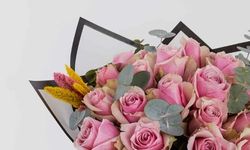 Mesafeleri Anlamsız Kılan Evrensel Dil