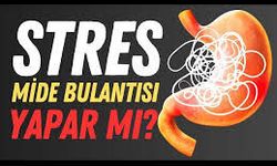 Stres Kaynaklı Mide Ağrısı Nasıl Geçer?