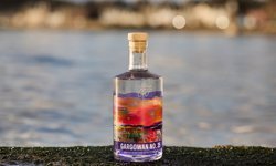 35 Lik Cin Fiyatları 2026: Tüm Markalar İçin Güncel Liste