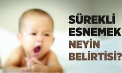 Gün İçinde Sürekli Esnemek Normal Mi, Ne Anlama Gelir?