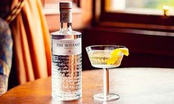 Botanist Gin Fiyat 2026: Türkiye'de Güncel Liste ve Tüm Çeşitler