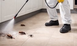 En İyi Böcek İlaçlama Şirketleri