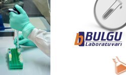 Toplum Sağlığı İçin Sağlık Taramalarının Önemi Nedir?