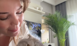 Ünlü Güzel Gizem Güven Kedisiyle Fotoğraf Paylaştı!