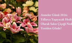 Anneler Günü 2026: Yıllarca Yaşayacak Hediye Olarak Saksı Çiçeği Neden Yeniden Gözde?