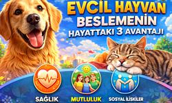 Evcil Hayvan Beslemenin Hayattaki 3 Avantajı