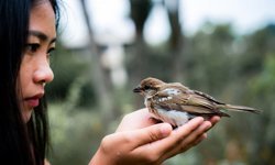 Merhametli Bir İnsan Olduğunuzu Gösteren 3 İşaret