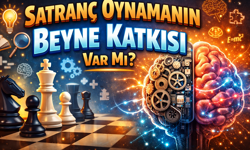 Satranç Oynamanın Beyne Katkısı Var Mı?