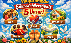 Hayatımızda Şükredebileceğimiz 5 Unsur!