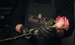 Online Çiçek Siparişi Nasıl Doğru Verilir?