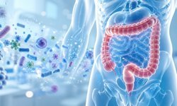 Gaita Nakli Nedir? Bağırsak Mikrobiyotası İçin Uzman Değerlendirmesi Neden Önemlidir?