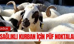 Kurban Kesimi Sonrası Hijyen Kuralları Nelerdir?