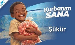 Şükür Kurbanı Bağışı: Minnetinizi Şeffaflık ve Fıkhi Güvenle Taçlandırın