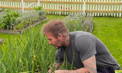David Beckham Bahçesindeki Soğanları Hasat Etti!
