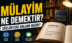 Mülayim Ne Demektir? Sözlükteki Anlamı Nedir?
