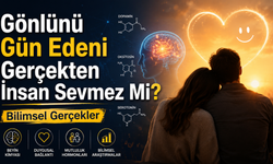 Gönlünü Gün Edeni Gerçekten İnsan Sevmez Mi? Bilimsel Gerçekler