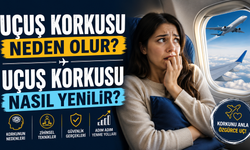 Uçuş Korkusu Neden Olur? Uçuş Korkusu Nasıl Yenilir?