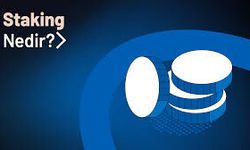 Staking Nedir?