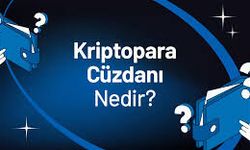 Kripto Para Cüzdanı Nedir? Soğuk ve Sıcak Cüzdan Arasındaki Farklar
