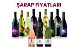 Şarap Çeşitleri Ve En Çok Tercih Edilen Şarapların 2026 Fiyatları