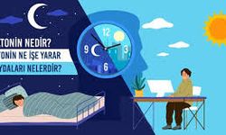 Uyku Sorunu Yaşıyorsanız Melatonin Kullanmalı Mısınız?