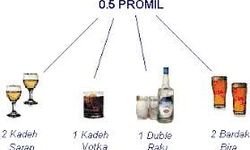 Hangi Alkol Kaç Promil? Çevirme Noktasına Gelmeden Bilmeniz Gerekenler