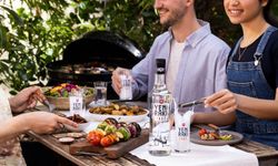 Almanya Rakı Fiyatları 2026: Güncel Euro Listesi ve Türkiye Karşılaştırması