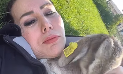 Asena Yavru Hayvancıkla Poz Verdi! Çok Beğenildi...