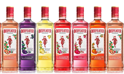 Beefeater Cin Fiyat 2026: Tüm Seriler İçin Güncel Liste