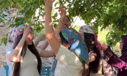 Dünyaca Ünlü Dj Mahmut Orhan Köyünde Küçük Bir Konser Verdi!