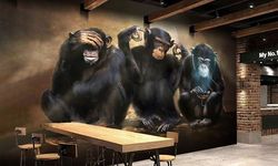 3 Maymun Viski Fiyatları Ne Kadar? 2026 Monkey Shoulder Güncel Liste
