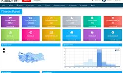 E-Ticaret Yazılımı Nedir? İşletmeniz İçin Doğru Çözümü Seçmenin Önemi