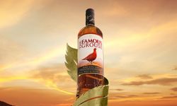 Famous Viski Fiyat Listesi 2026: İskoçya'nın Uygun Fiyatlı Blend Klasiği