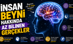 İnsan Beyni Hakkında Az Bilinen Gerçekler