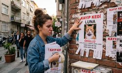 Evcil Hayvan Bulmada Yeni Dönem: Konum Tabanlı 'Acil Bildirim' Teknolojisi Hayat Kurtarıyor