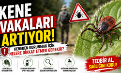 Kene Vakaları Artıyor! Keneden Korunmak İçin Nelere Dikkat Etmek Gerekir?