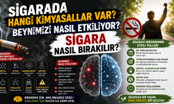 Sigarada Hangi Kimyasallar Var? Beynimizi Nasıl Etkiliyor? Sigara Nasıl Bırakılır?