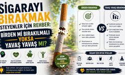 Sigarayı Bırakmak İsteyenler İçin Rehber: Birden Mi Bırakılmalı Yoksa Yavaş Yavaş Mı?