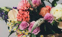 D&D Flowers Bodrum ile Duygularınızı Çiçeklerle Buluşturun